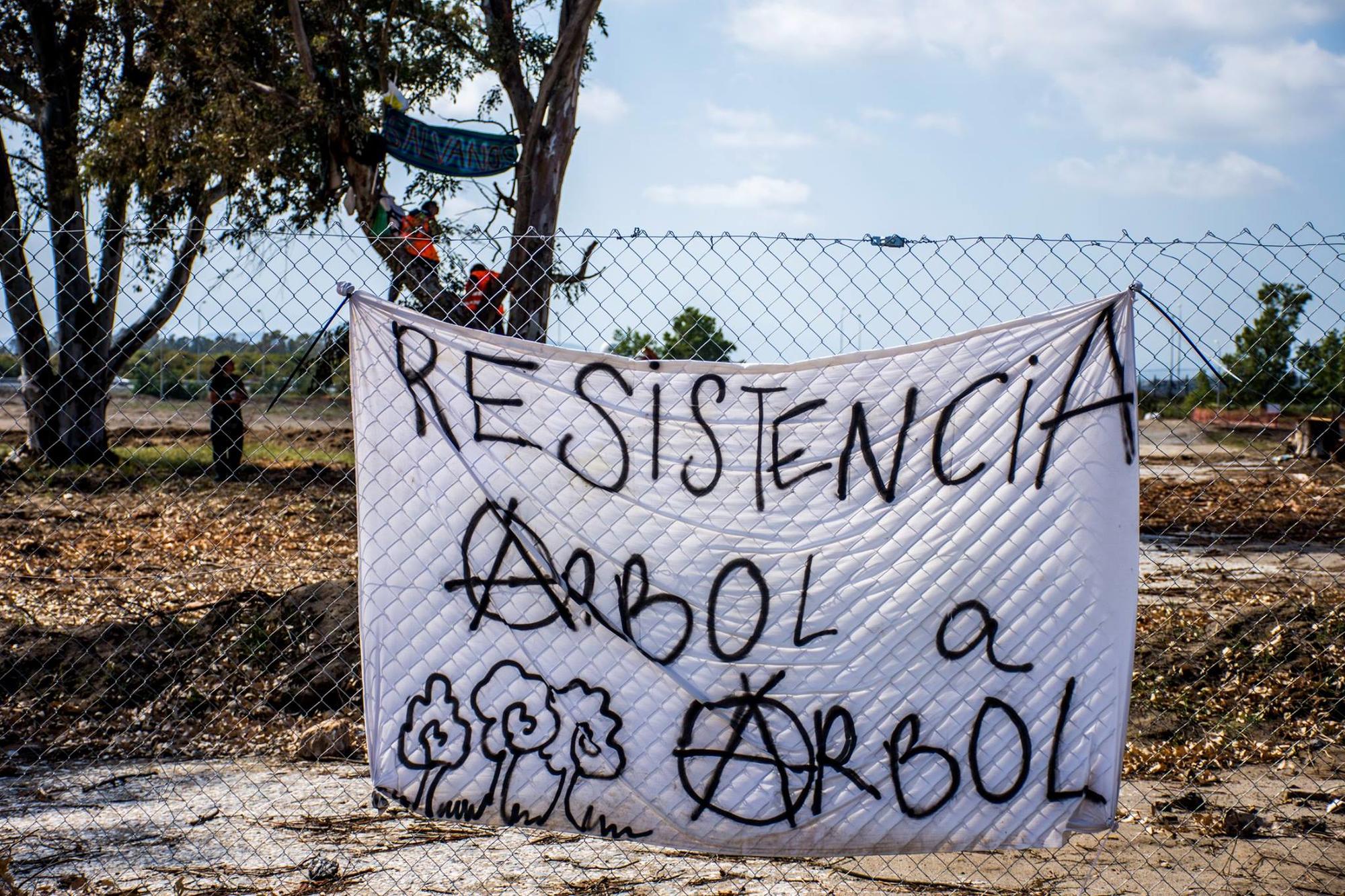 Arraijanal Campamento Arbol a Arbol